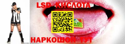 прущие грибы Балаково