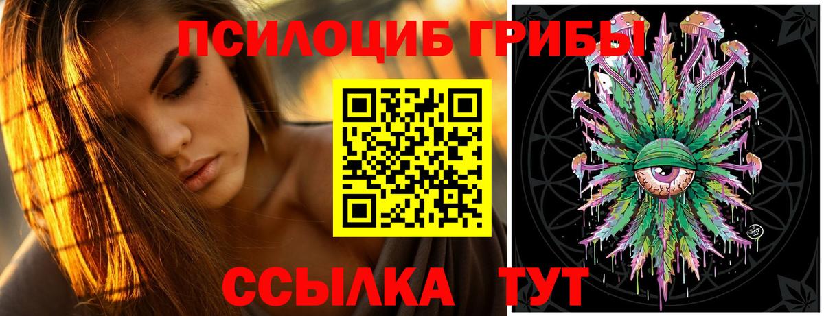 Галлюциногенные грибы MAGIC MUSHROOMS  Галлюциногенные грибы Cubensis  Апрелевка  Вход с VPN 